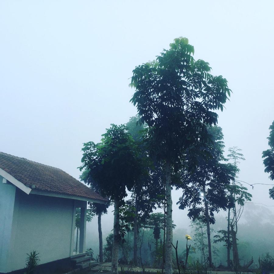 Tommy Homestay Plambi Exterior photo